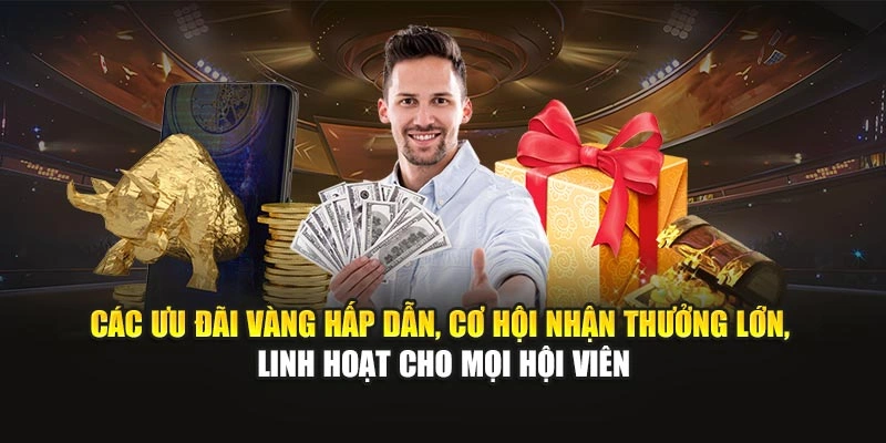 Các ưu đãi vàng hấp dẫn, cơ hội nhận thưởng lớn, linh hoạt cho mọi hội viên